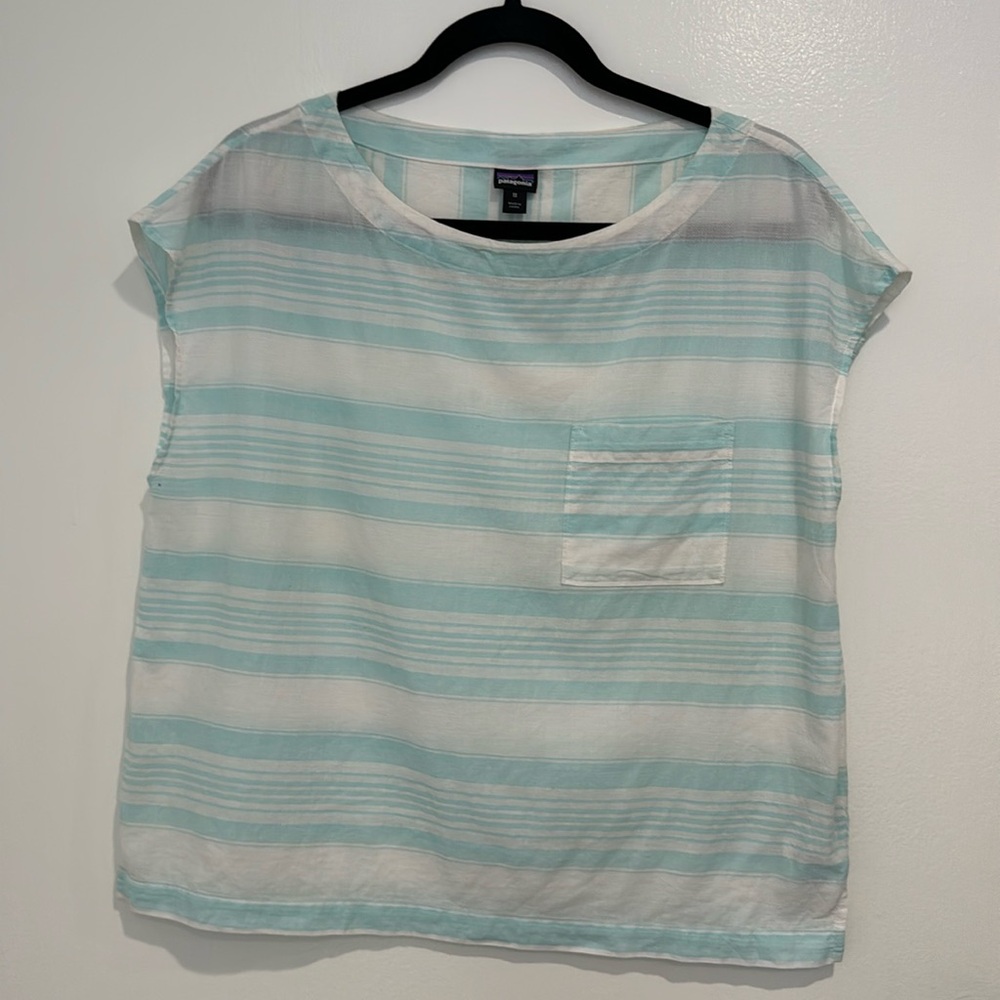Patagonia tee